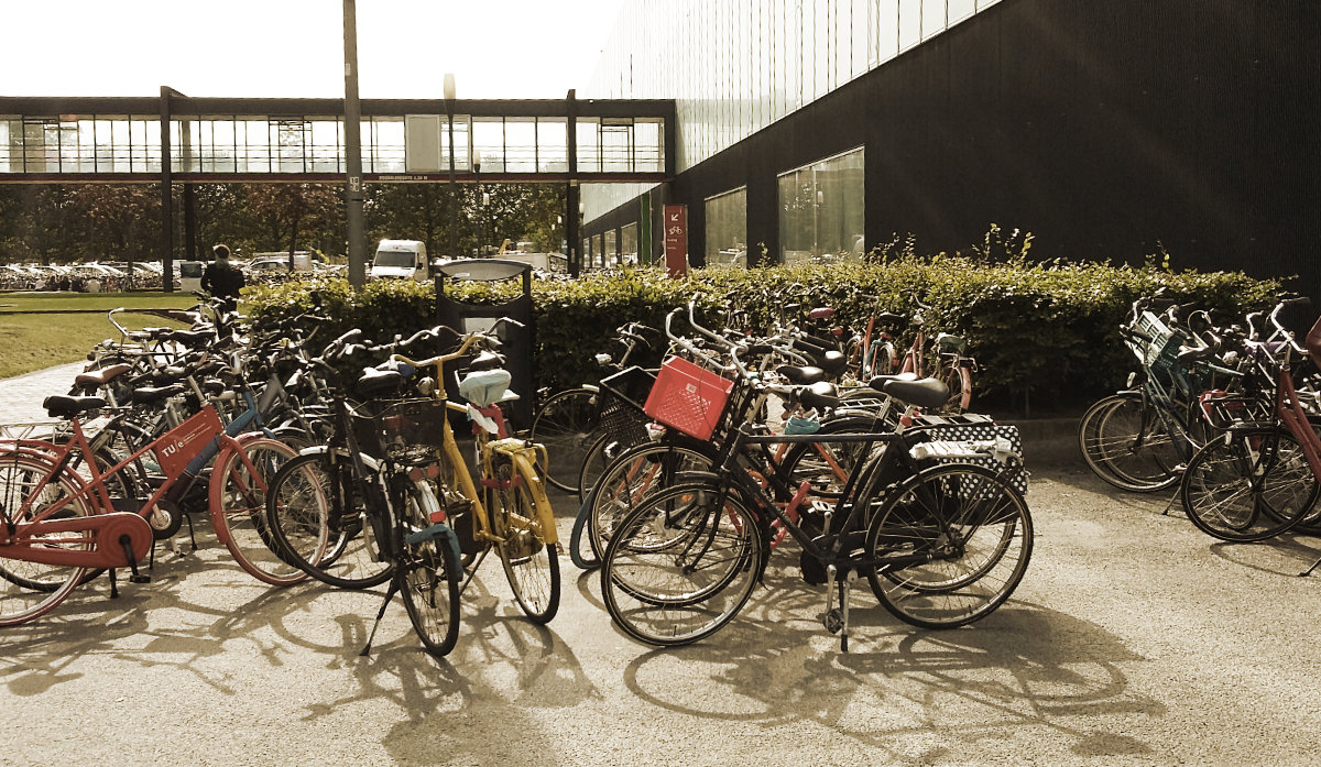 rower w Holandii