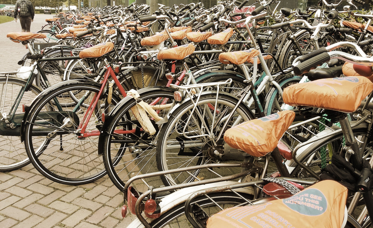 rower w Holandii